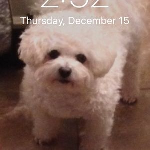 Meet your Posher, Larry